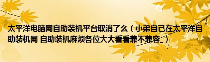 太平洋电脑网自助装机平台取消了么（小弟自己在太平洋自助装机网 自助装机麻烦各位大大看看兼不兼容_）