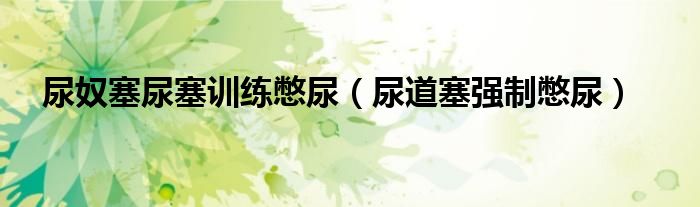 尿奴塞尿塞训练憋尿（尿道塞强制憋尿）