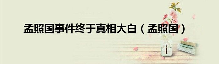 孟照国事件终于真相大白（孟照国）