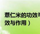 薏仁米的功效与作用及食用方法（薏仁水的功效与作用）