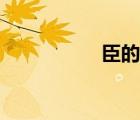臣的笔顺（臣的部首）