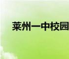 莱州一中校园网官网（莱州一中校园网）