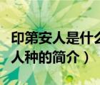 印第安人是什么人种（说一说印第安人是什么人种的简介）