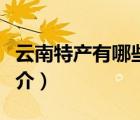 云南特产有哪些（说一说云南特产有哪些的简介）