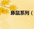 豚鼠系列（说一说豚鼠系列的简介）