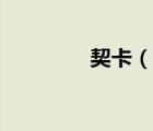 契卡（说一说契卡的简介）