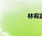 林宥嘉演唱会（林宥嘉）