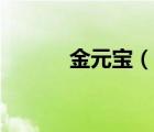 金元宝（说一说金元宝的简介）