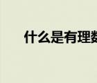 什么是有理数无理数（什么是有理数）