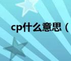 cp什么意思（说一说cp什么意思的简介）