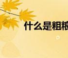 什么是粗粮?（什么是粗粮类食物）