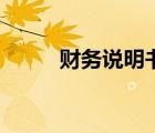 财务说明书主要内容（财务说明）