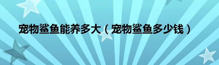 宠物鲨鱼能养多大（宠物鲨鱼多少钱）