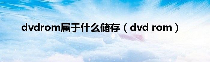 dvdrom属于什么储存（dvd rom）