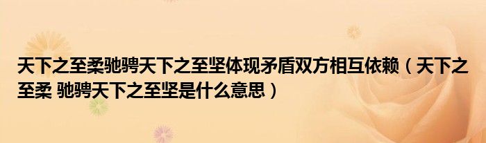 天下之至柔驰骋天下之至坚体现矛盾双方相互依赖（天下之至柔 驰骋天下之至坚是什么意思）