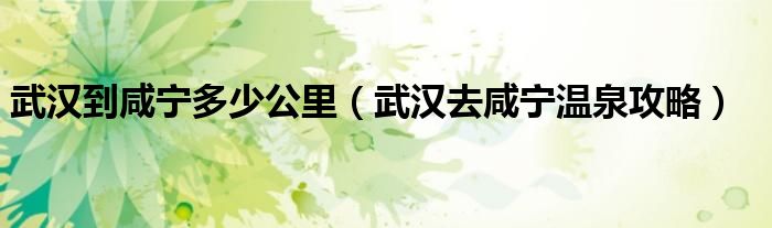 武汉到咸宁多少公里（武汉去咸宁温泉攻略）
