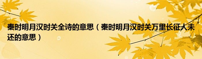 秦时明月汉时关全诗的意思（秦时明月汉时关万里长征人未还的意思）