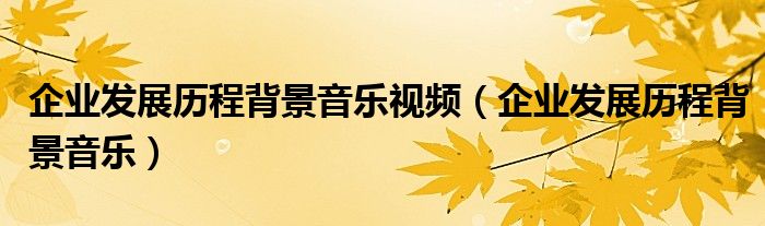 企业发展历程背景音乐视频（企业发展历程背景音乐）