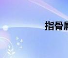 指骨属于什么骨（指骨）