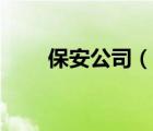 保安公司（说一说保安公司的简介）