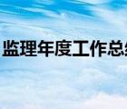 监理年度工作总结 个人（监理年度工作总结）
