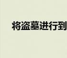 将盗墓进行到底全集（将盗墓进行到底）