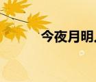 今夜月明人尽望的尽是什么意思