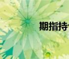 期指持仓 分析（期指持仓）