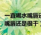 一直喝水嘴唇还是很干是什么原因（一直喝水嘴唇还是很干）