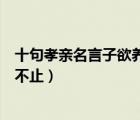 十句孝亲名言子欲养而亲不待（子欲养而亲不待树欲静而风不止）