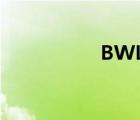 BWL攻略（bwl攻略）