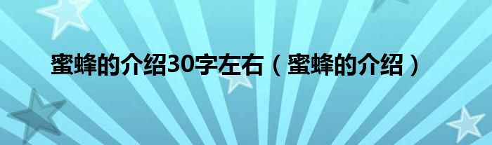 蜜蜂的介绍30字左右（蜜蜂的介绍）