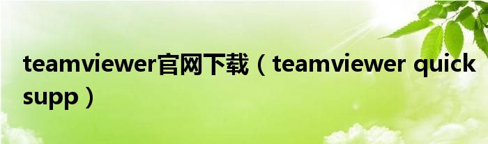 teamviewer官网下载（teamviewer quicksupp）