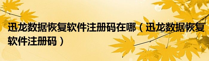 迅龙数据恢复软件注册码在哪（迅龙数据恢复软件注册码）