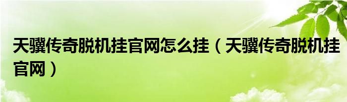 天骥传奇脱机挂官网怎么挂（天骥传奇脱机挂官网）