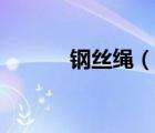 钢丝绳（说一说钢丝绳的简介）