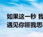 如果这一秒 我没遇见你（如果这一秒我没有遇见你匪我思存）