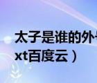 太子是谁的外号娱乐圈（娱乐圈之太子驾到txt百度云）