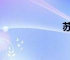 苏俄战争（苏E）