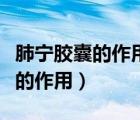 肺宁胶囊的作用与功效多少钱一盒（肺宁胶囊的作用）