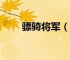 骠骑将军（说一说骠骑将军的简介）