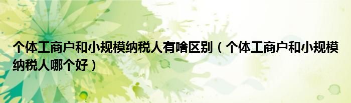 个体工商户和小规模纳税人有啥区别（个体工商户和小规模纳税人哪个好）
