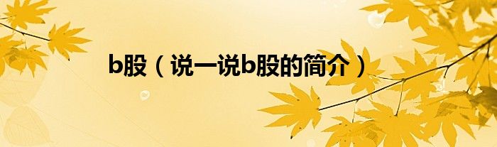b股（说一说b股的简介）