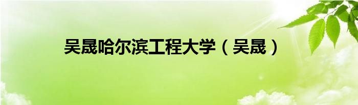 吴晟哈尔滨工程大学（吴晟）