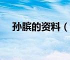 孙膑的资料（说一说孙膑的资料的简介）