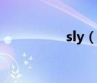sly（说一说sly的简介）