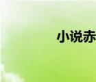 小说赤雪情殇（赤雪情殇）