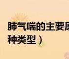 肺气喘的主要原因（肺源性呼吸困难常见的三种类型）