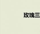 玫瑰三愿歌曲（玫瑰三愿）