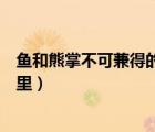 鱼和熊掌不可兼得的意思是什么（鱼和熊掌不可兼得出自哪里）